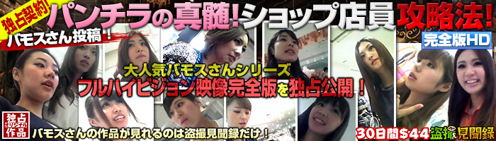 盗撮無修正動画配信サイト 「盗撮見聞録」